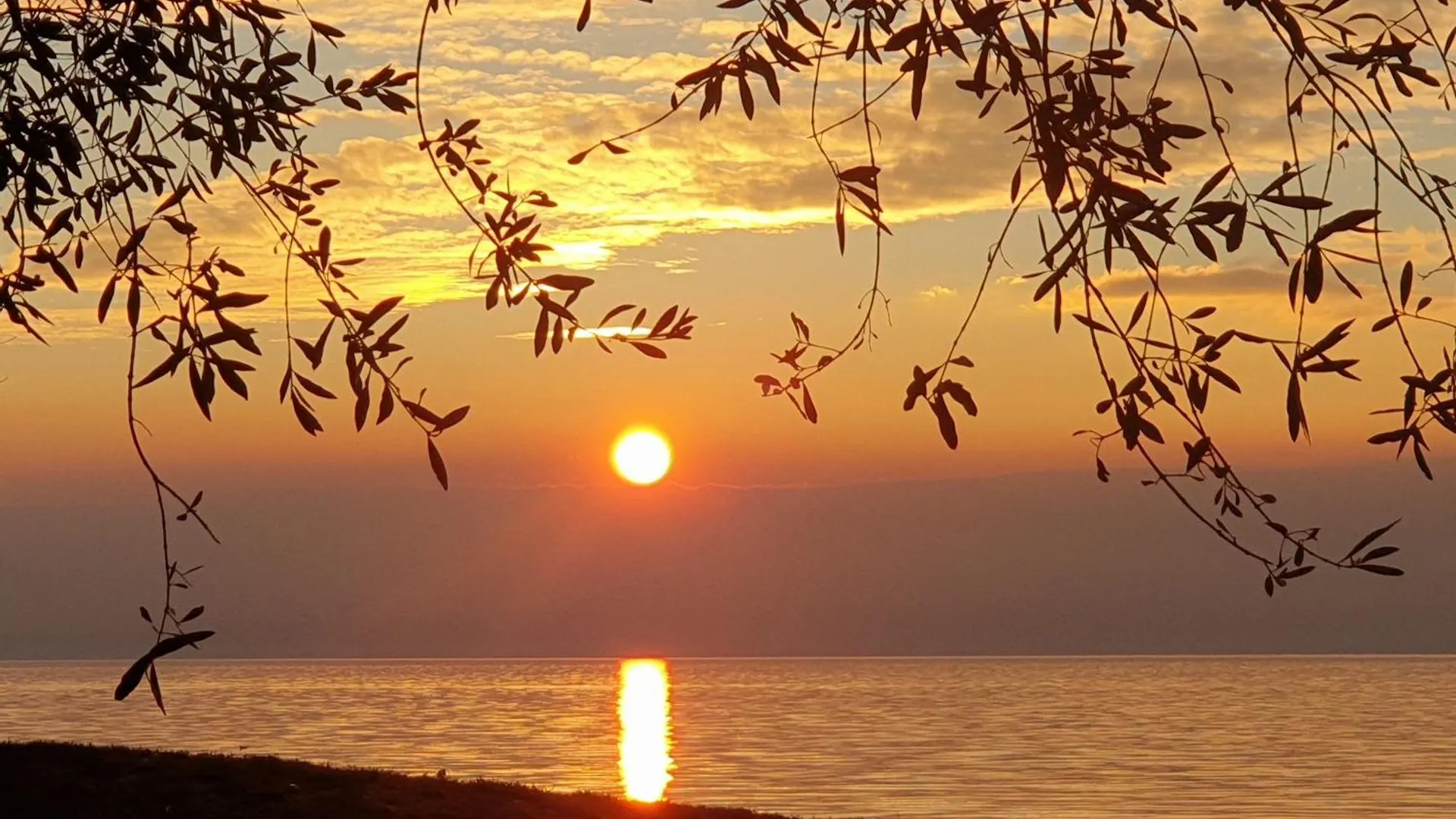 Διαμέρισμα Appartamenti Mary Brenzone sul Garda